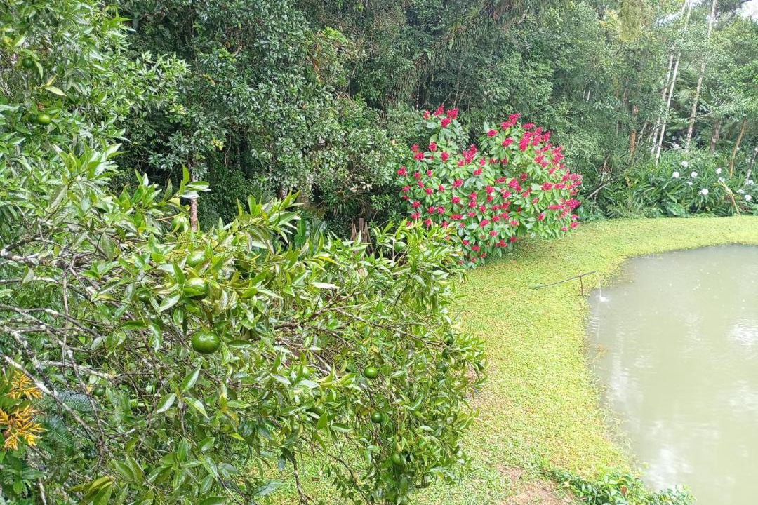 Photo of Others in Timbe do Sul