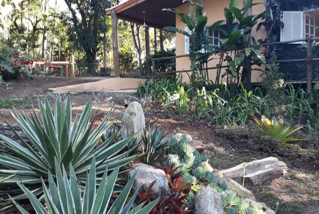 Photo of Others in Guaratingueta