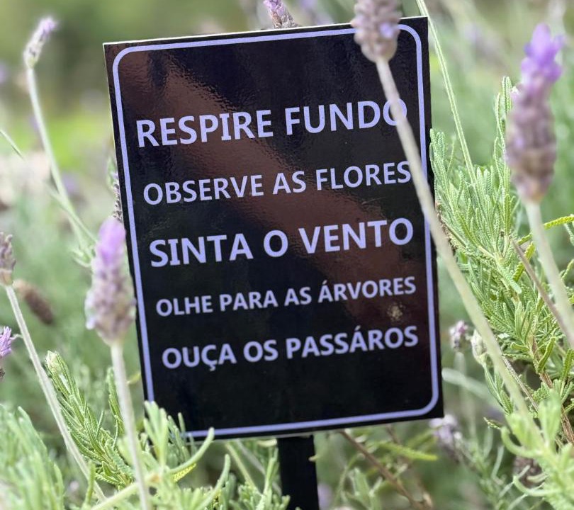 Photo of Others in Divino de Sao Lourenco
