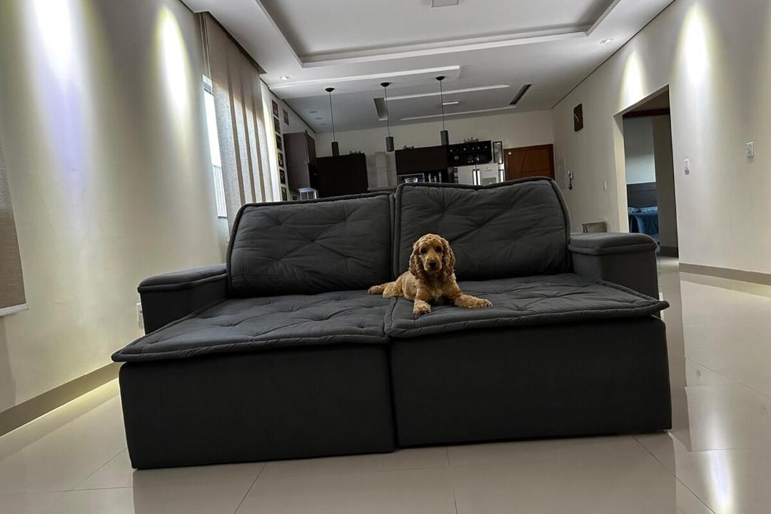 Photo of Livingroom in Grao Mogol