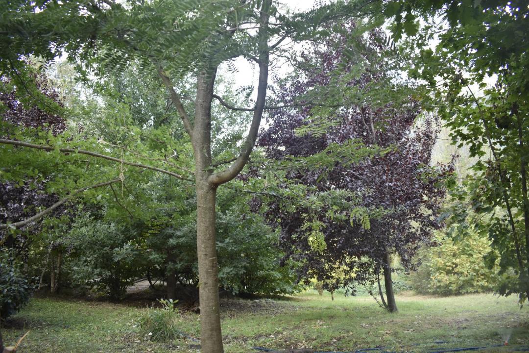 Photo of Outdoor in El Hoyo