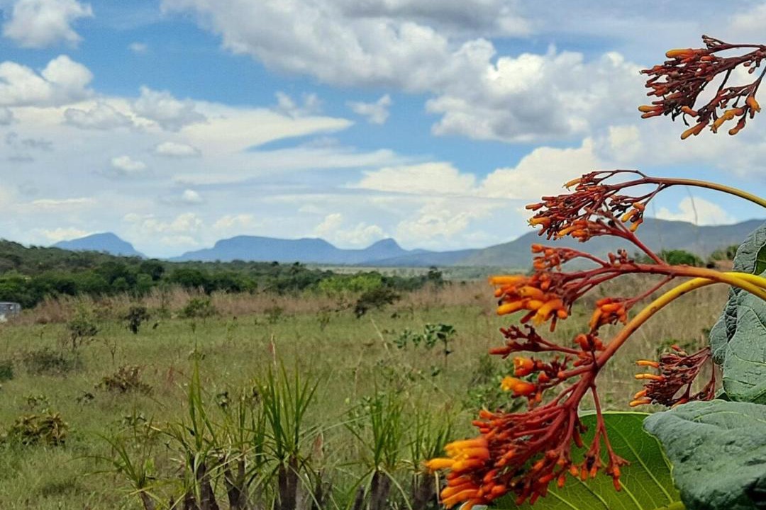 Photo of Others in Alto Paraiso de Goias
