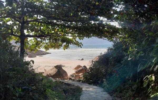 Photo of Others in Pantano do Sul