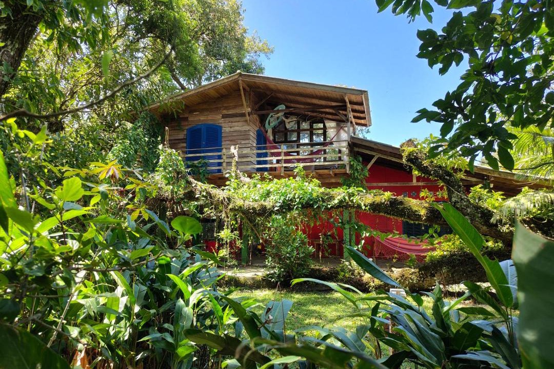 Photo of Others in Paranagua