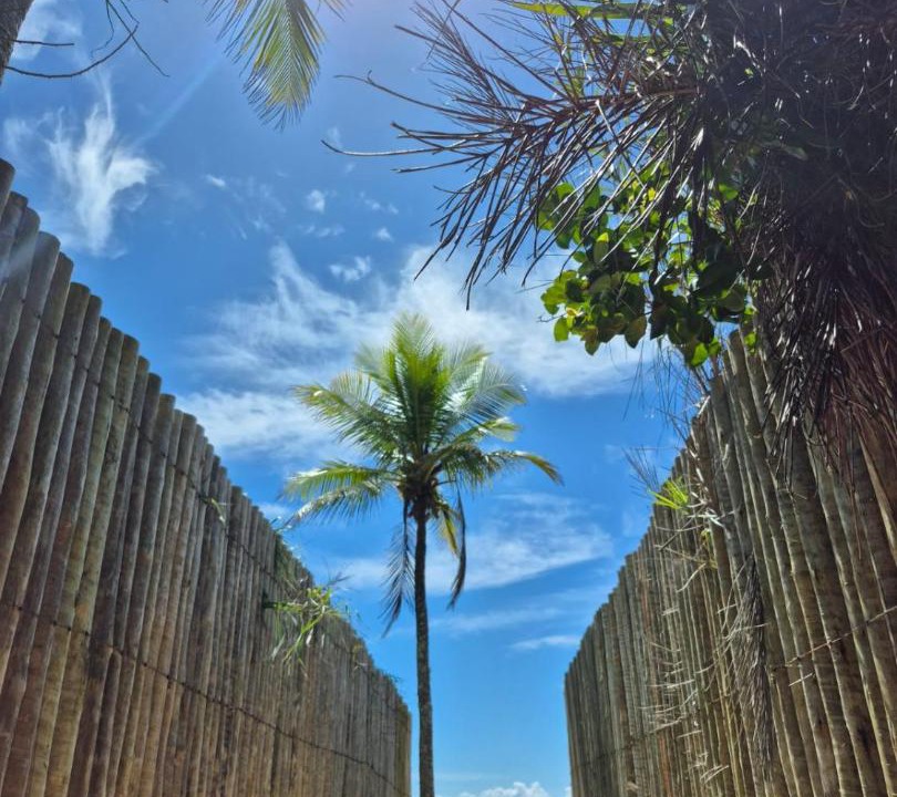 Photo of Others in Trancoso
