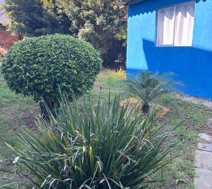 Photo of Others in Sousas