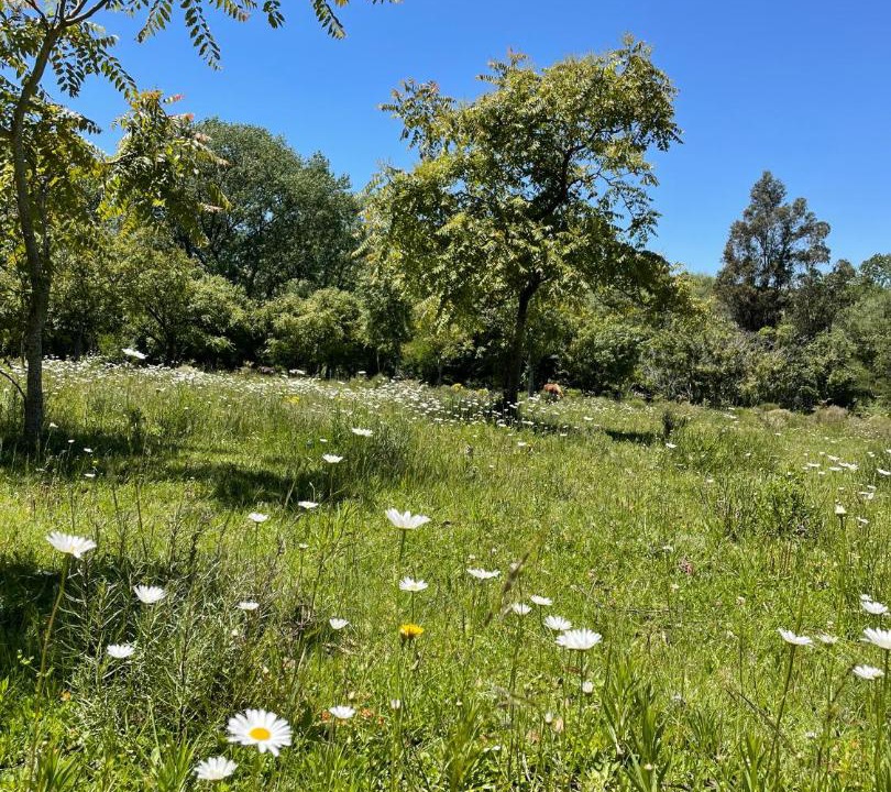 Photo of Outdoor in Tandil