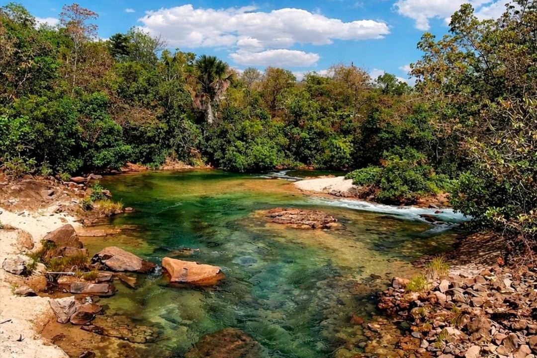 Photo of Others in Aurora do Tocantins