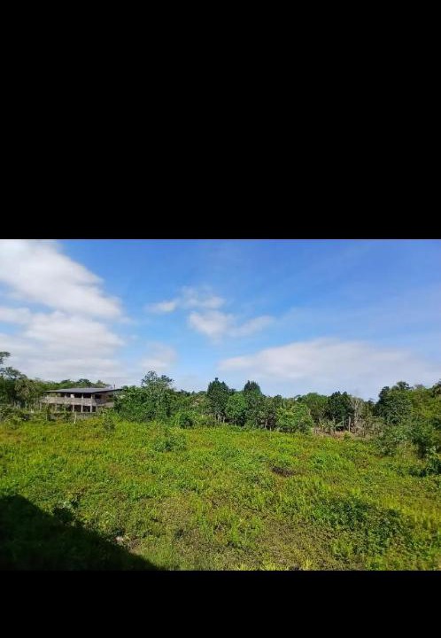 Photo of Others in Itariri