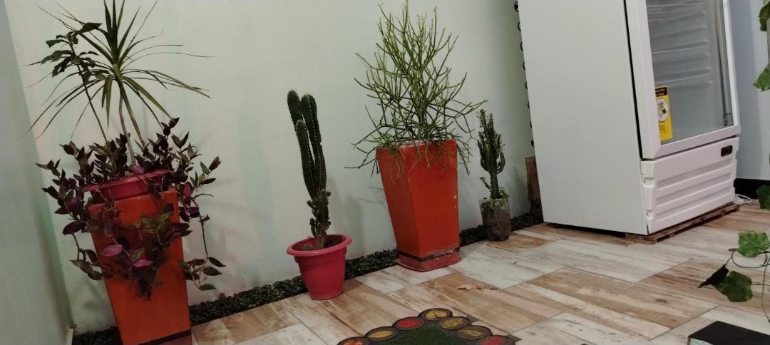 Photo of Others in Perico