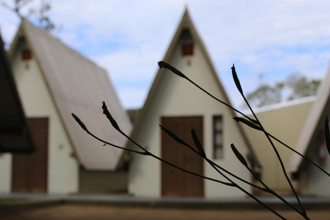 Photo of Others in Sao Lourenco do Sul