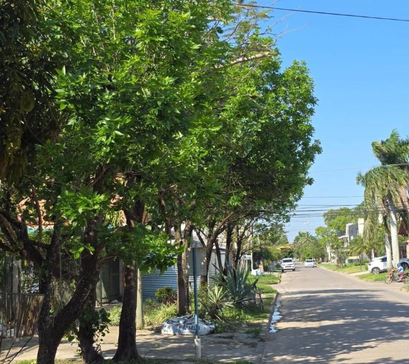 Photo of Others in Formosa