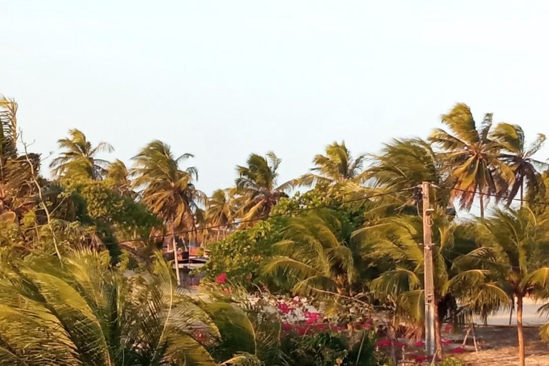 Photo of Others in Maracajau