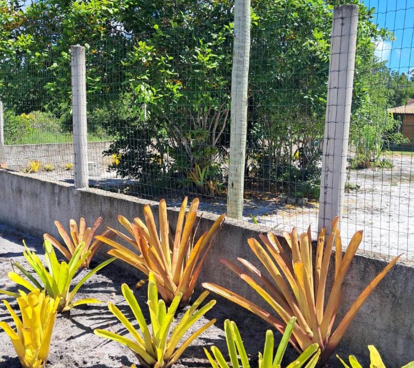 Photo of Others in Corumbau
