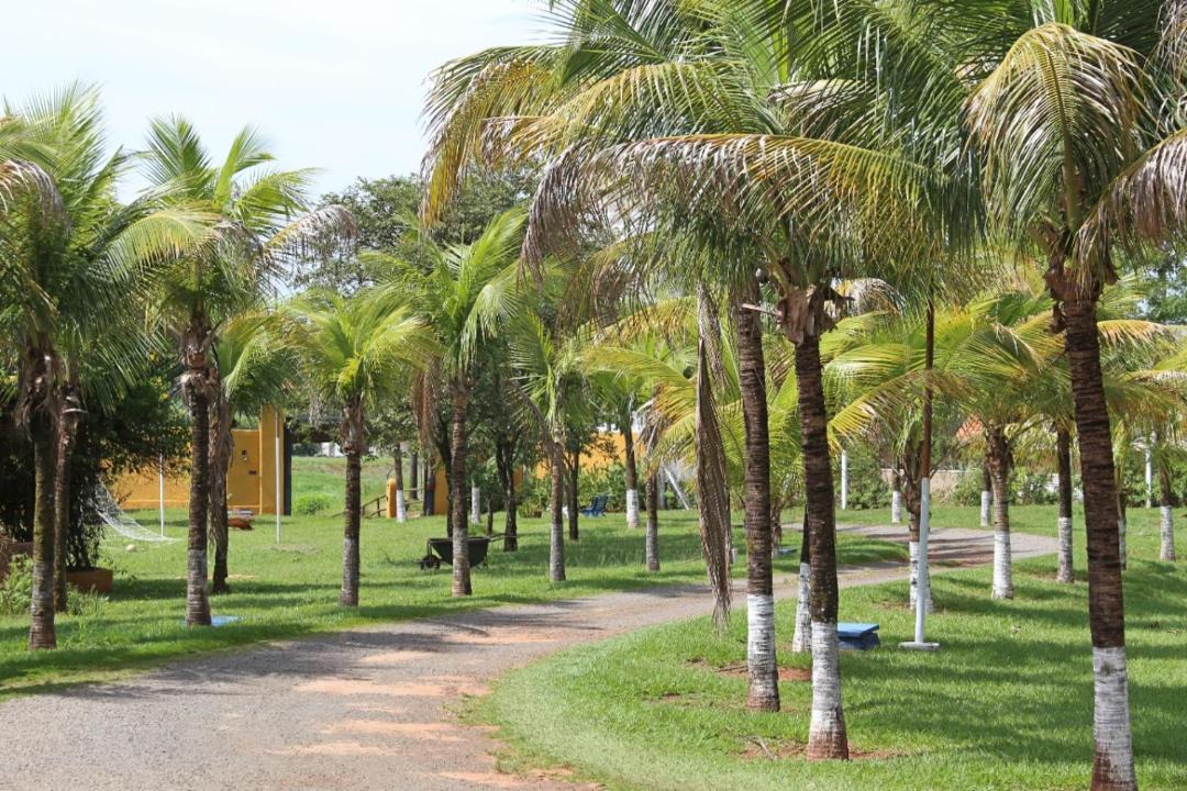 Photo of Others in Olimpia