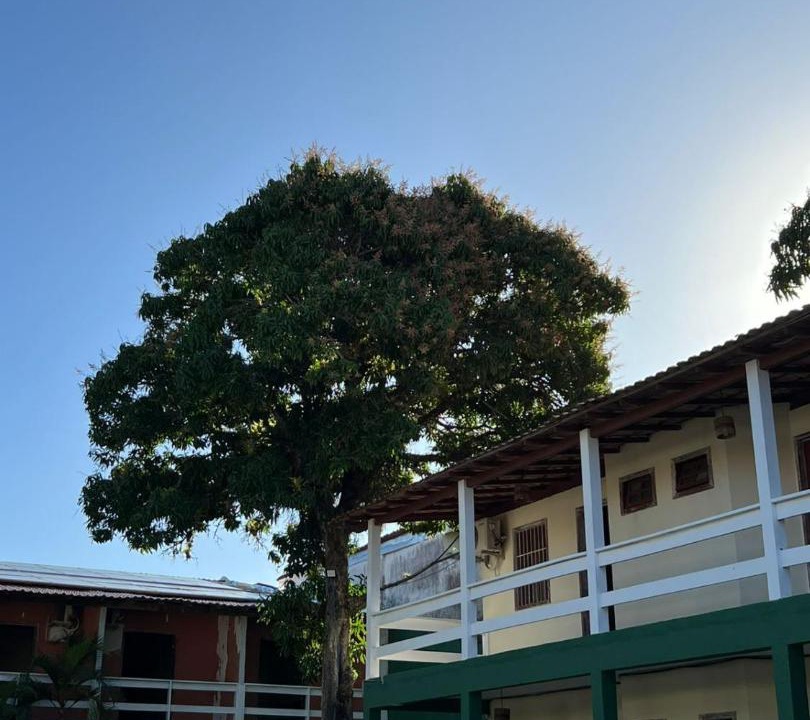 Photo of Others in Puerto Seguro Center