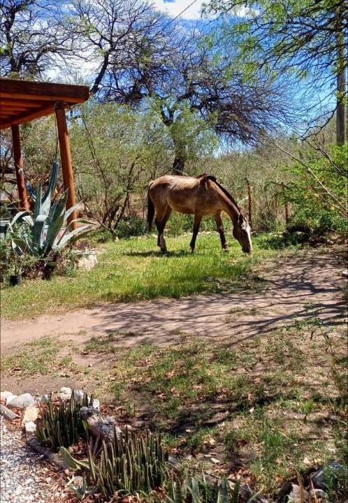 Photo of Others in San Marcos Sierra
