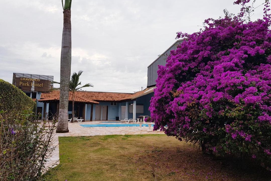 Photo of Others in Cravinhos