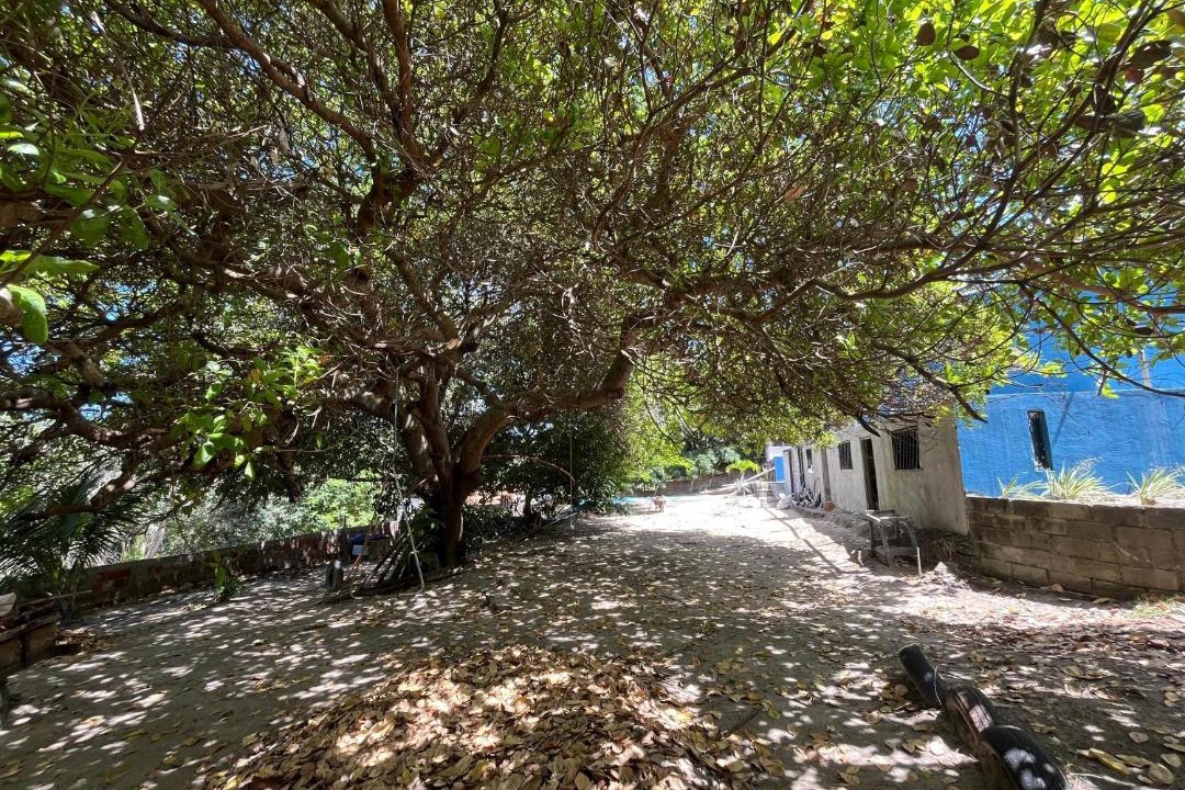 Photo of Others in Village Jacuma