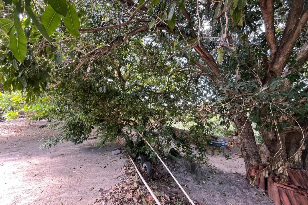 Photo of Others in Village Jacuma