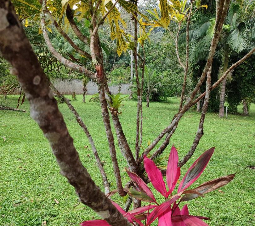 Photo of Outdoor in Iguape