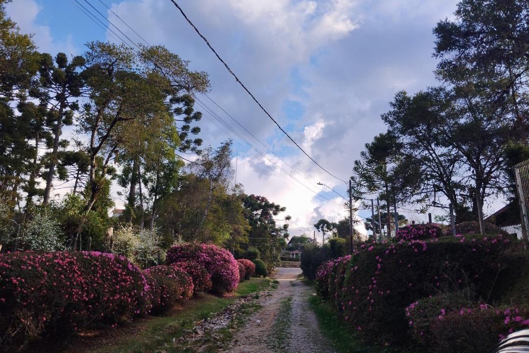 Photo of Outdoor in Jardim Nova Suica