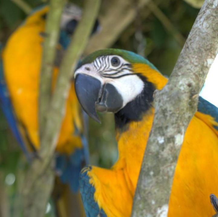 Photo of Others in Paraty