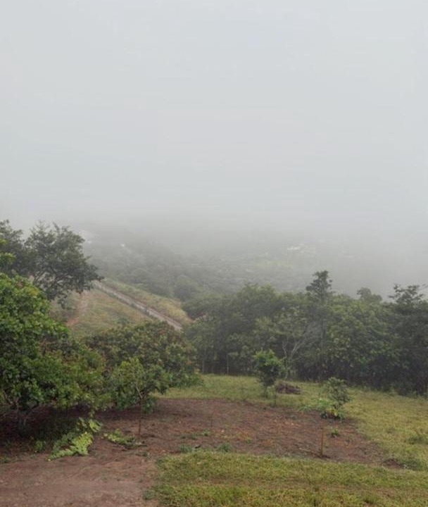 Photo of Others in Borborema
