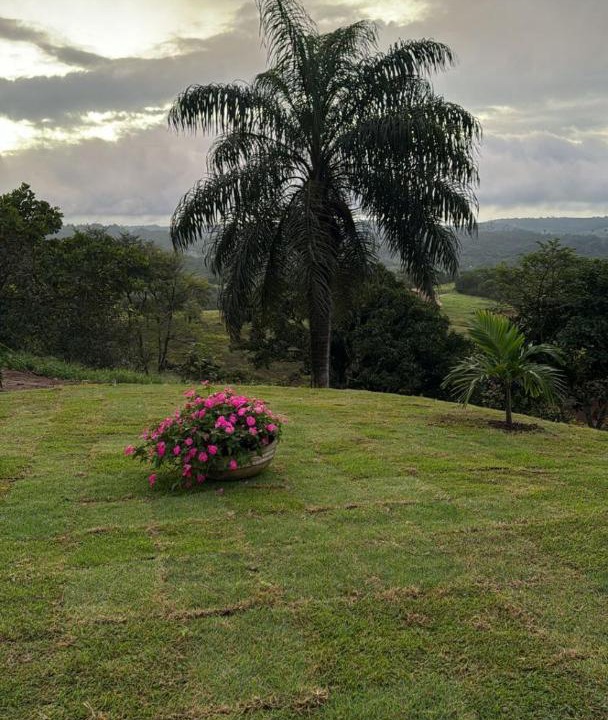 Photo of Others in Borborema