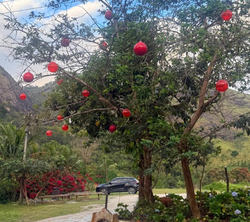 Photo of Others in Bonito