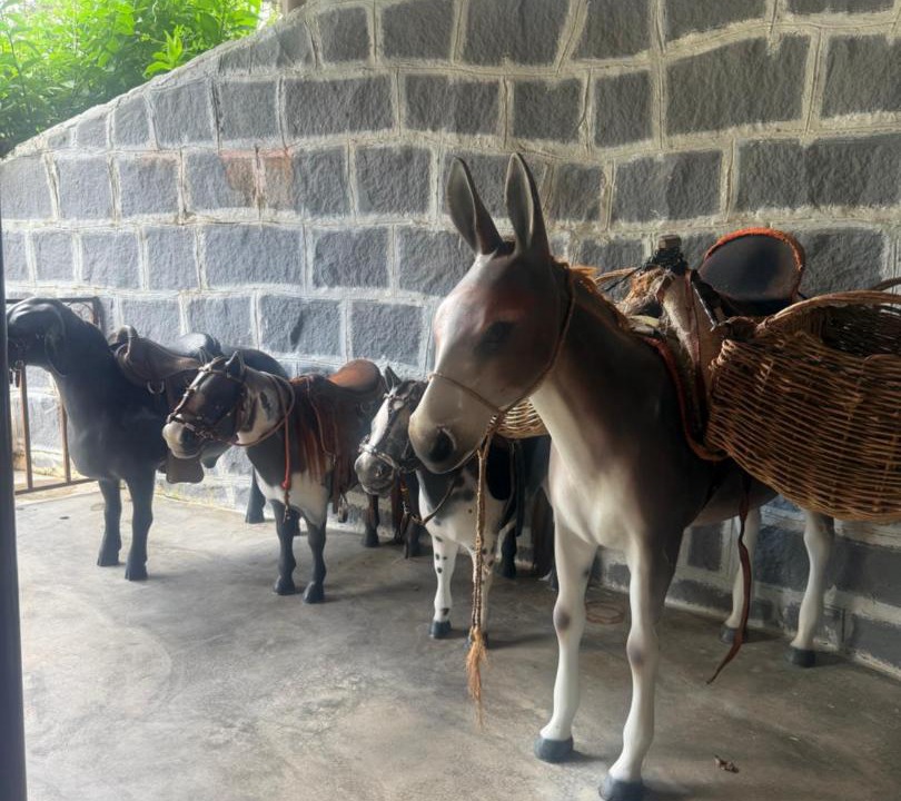 Photo of Others in Bonito