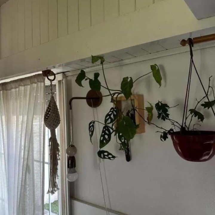 Photo of Others in Villa Elvira