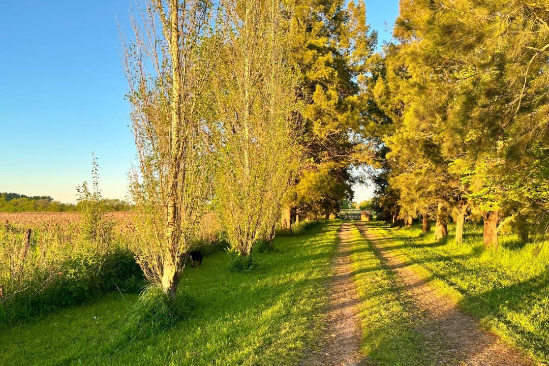 Photo of Others in San Antonio de Areco