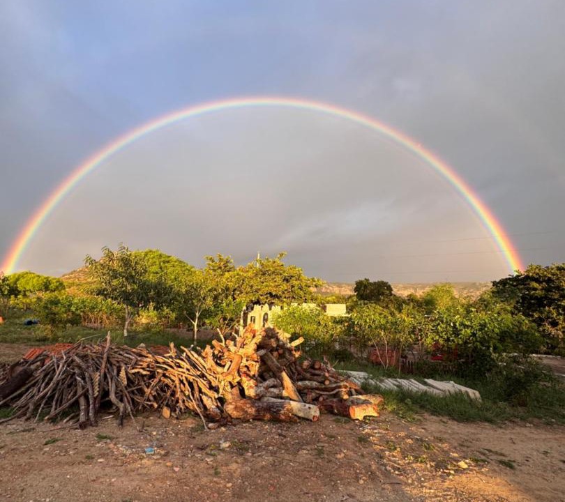 Photo of Others in Buique
