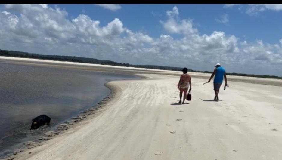 Photo of Others in Pontal da Barra
