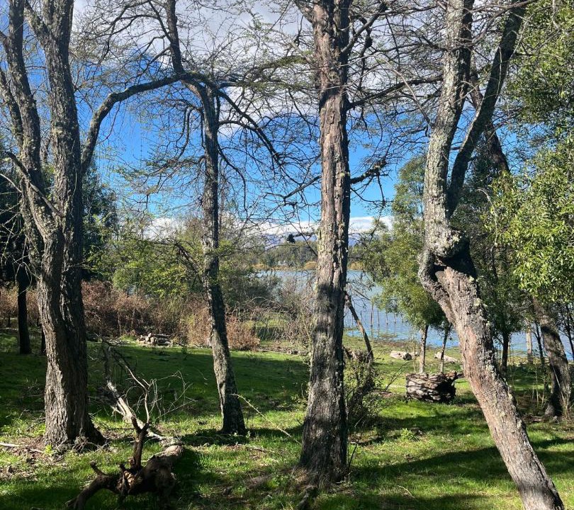 Photo of Others in Trevelin