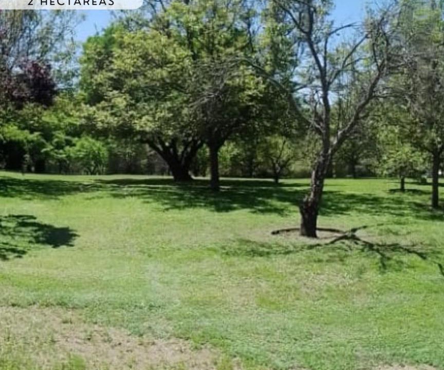 Photo of Outdoor in La Granja