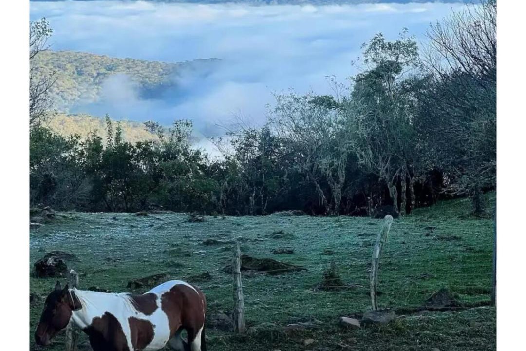 Photo of Others in Urubici