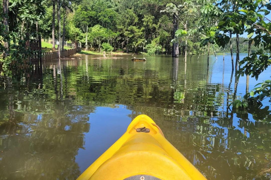 Photo of Others in Puerto Libertad