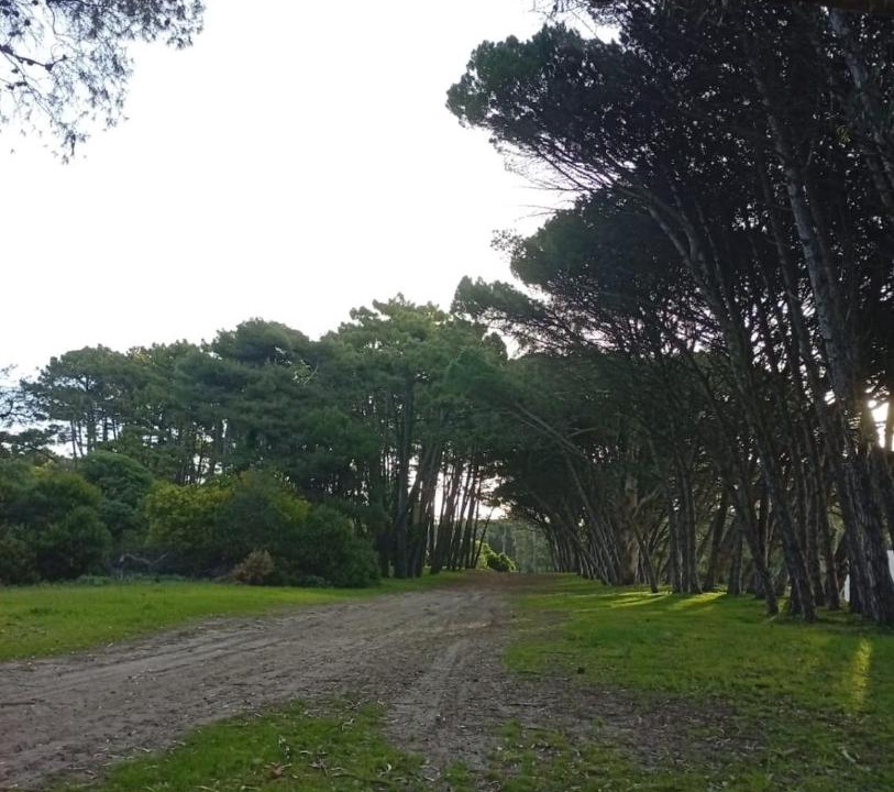 Photo of Outdoor in Miramar