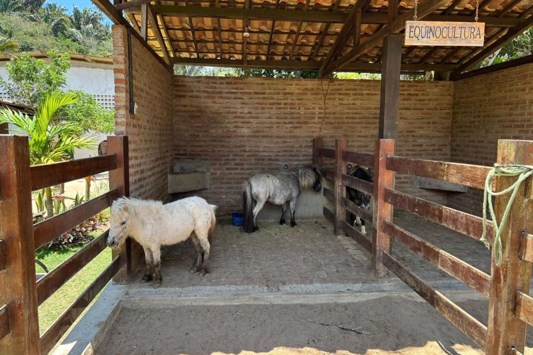 Photo of Others in Bananeiras