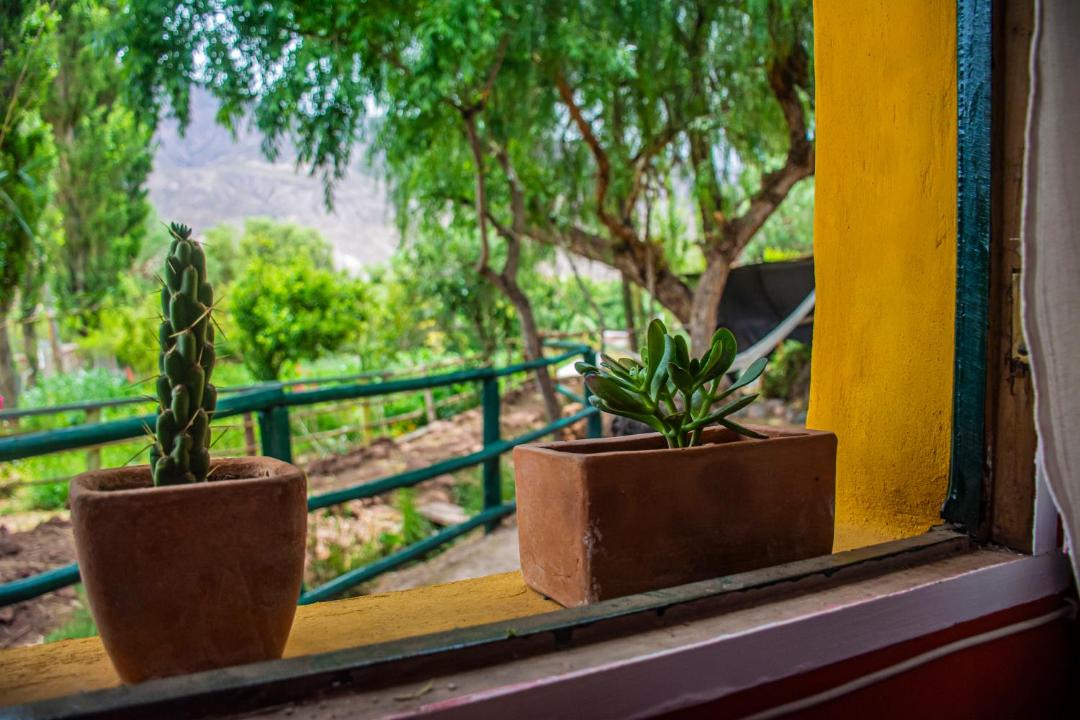 Photo of Others in Huacalera