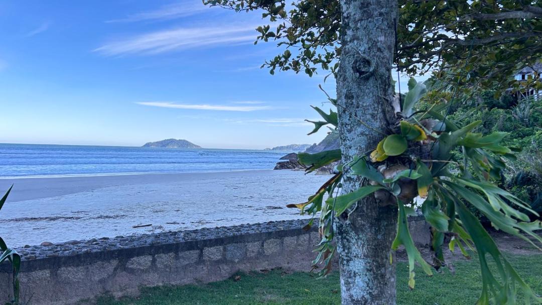 Photo of Others in Florianopolis