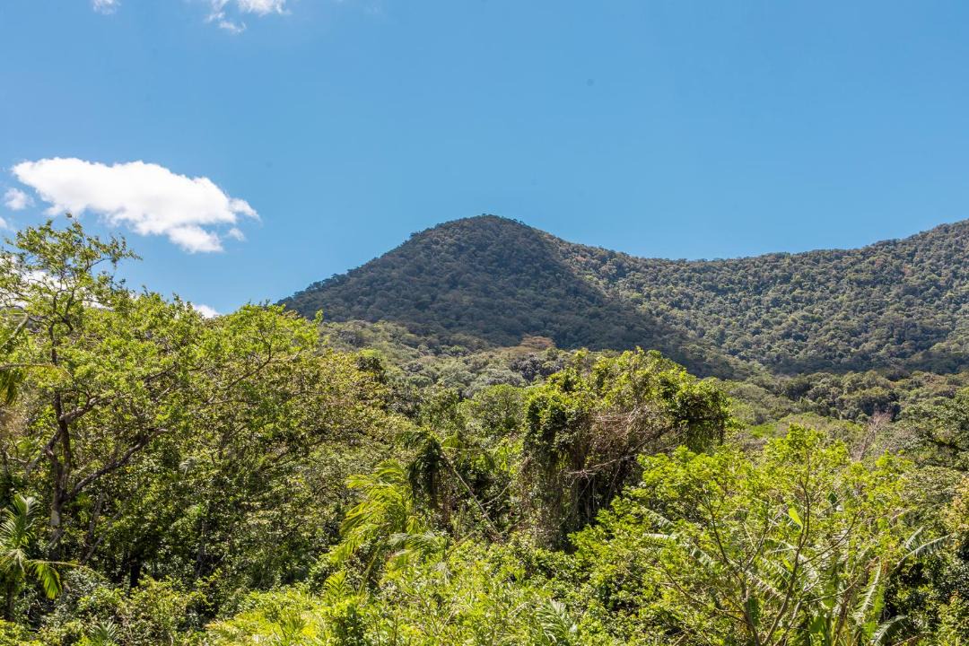 Photo of Others in Maresias