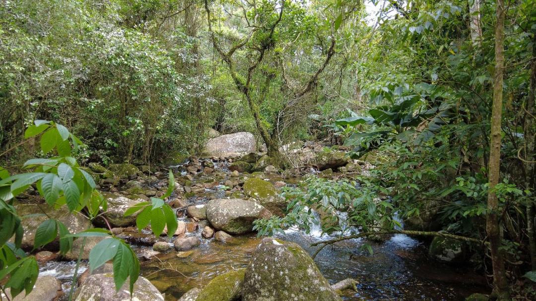 Photo of Others in Santo Amaro da Imperatriz