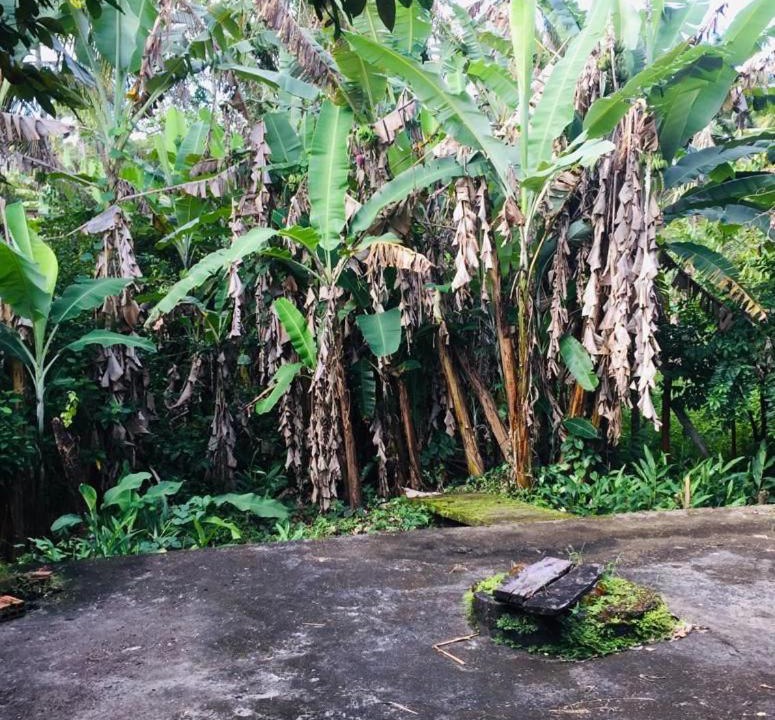 Photo of Others in Ilha de Boipeba