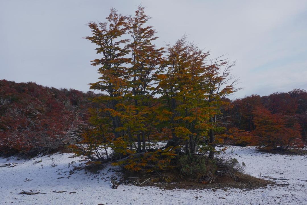 Photo of Others in San Carlos de Bariloche