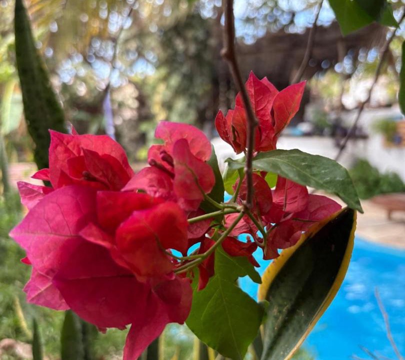 Photo of Outdoor in Jijoca de Jericoacoara