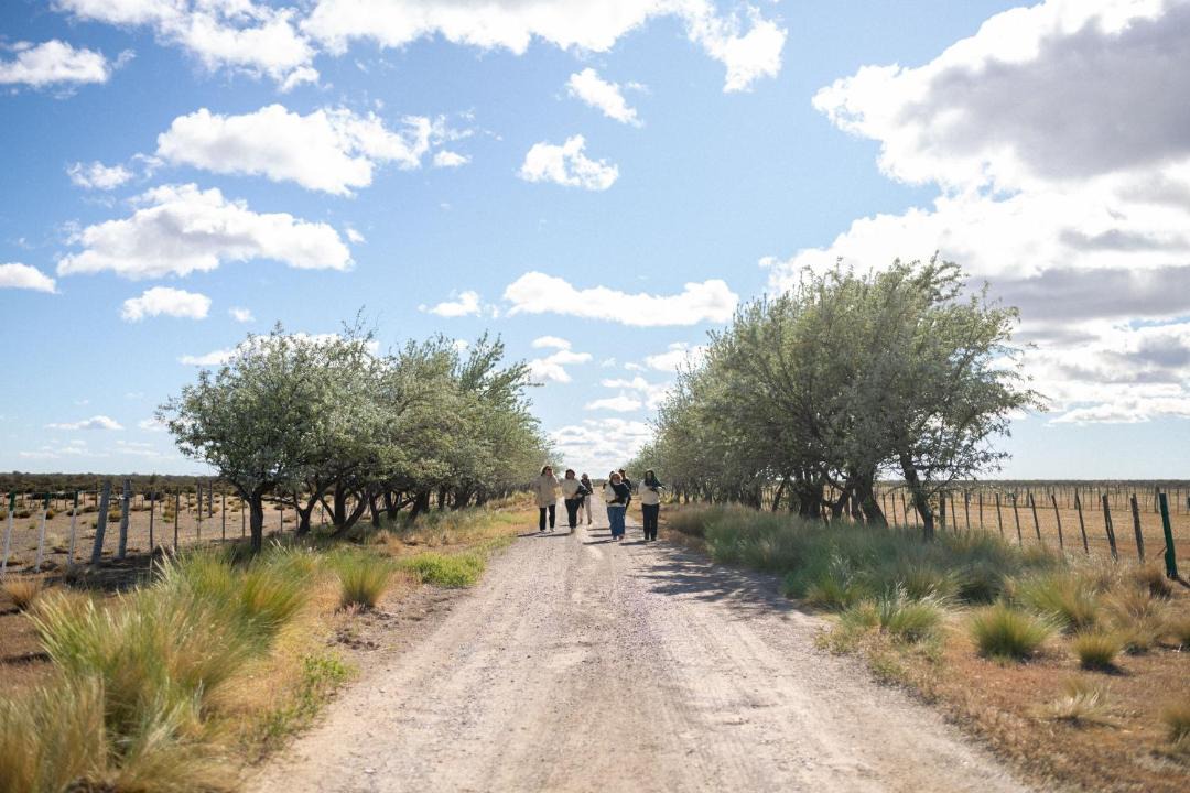 Photo of Others in Gaiman