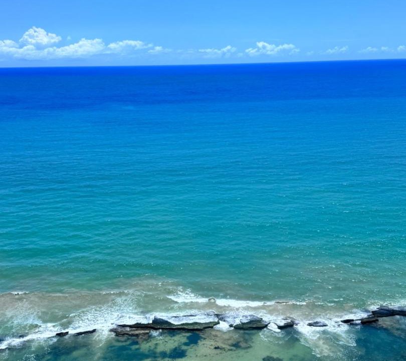 Photo of Others in Pina